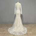 Modern Lace Mermaid Wedding Dress Long Sleeve V-Neck Sexy Illusion Back Bridal Gown Sexy Deep V Neck Vestidos De Novia Modernos