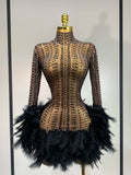 Women Sexy Transparent Stretch Mesh Feathers Stage Performance Costume Singer Nightclub Evening Party Luxury Birthday Dress black