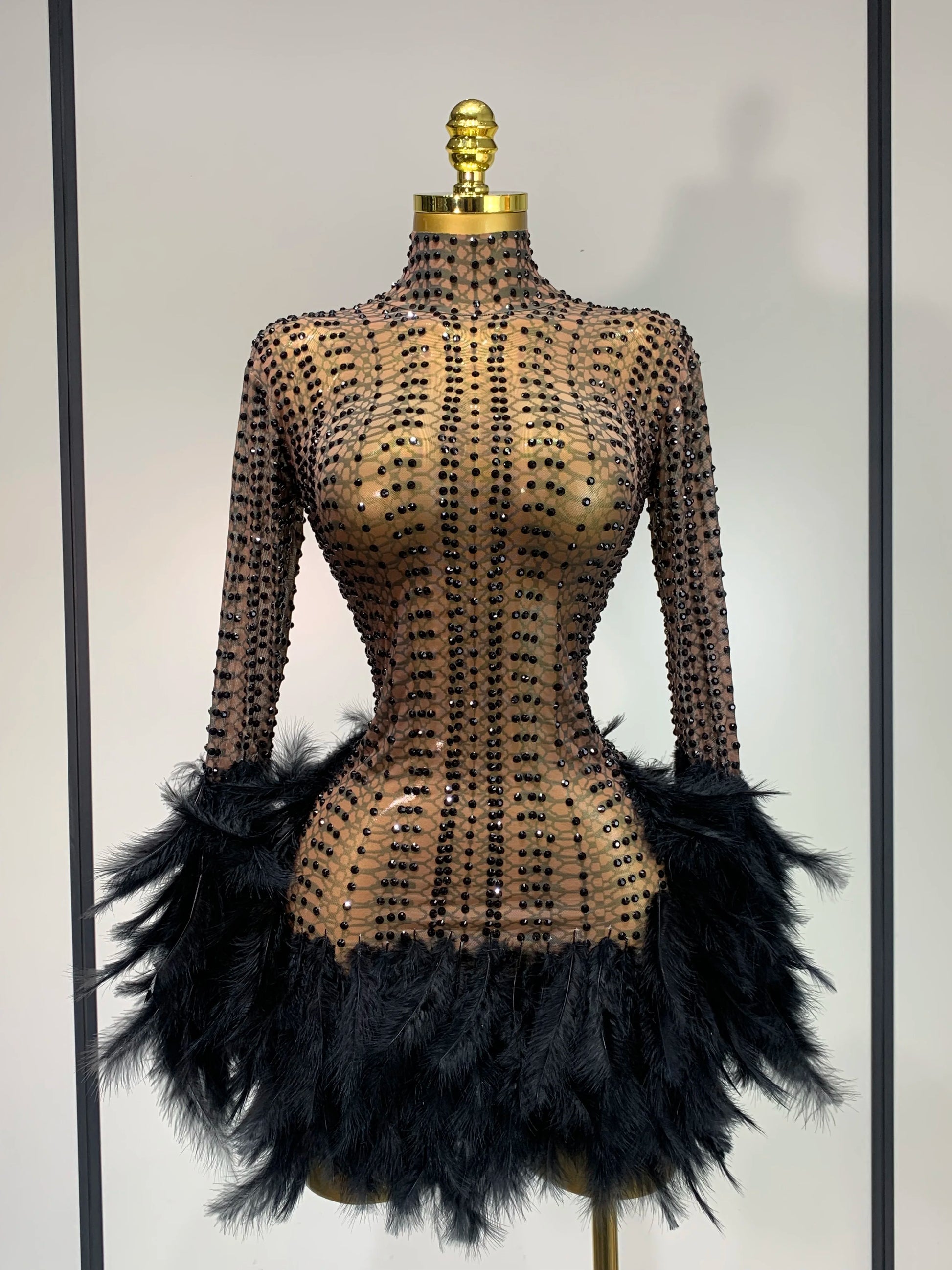 Women Sexy Transparent Stretch Mesh Feathers Stage Performance Costume Singer Nightclub Evening Party Luxury Birthday Dress black