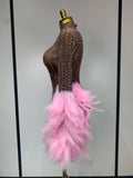Women Sexy Transparent Stretch Mesh Feathers Stage Performance Costume Singer Nightclub Evening Party Luxury Birthday Dress