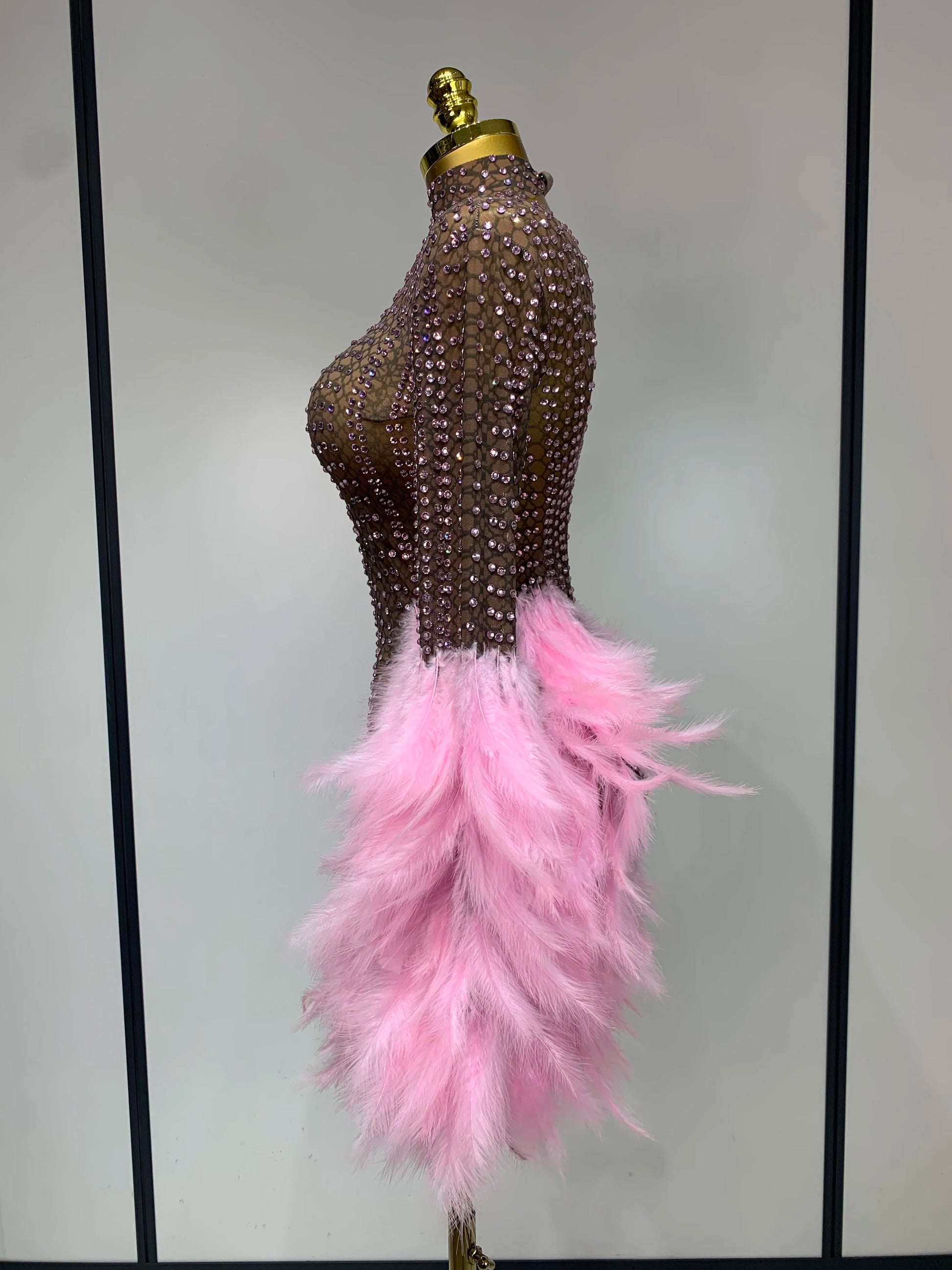 Women Sexy Transparent Stretch Mesh Feathers Stage Performance Costume Singer Nightclub Evening Party Luxury Birthday Dress