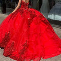 Red Sweetheart Quinceanera Dress Glittering Lace For 15 Party Formal Dress Ball Gown 16 Birthday Princess Gown Gown