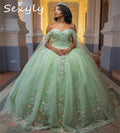 Mint Green Floral Vestidos De 15 Quinceañera Dress Cape Sleeve Corset Vestido De 15 Años Charro Xv Debutante Birthday Customized green