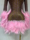 Women Sexy Transparent Stretch Mesh Feathers Stage Performance Costume Singer Nightclub Evening Party Luxury Birthday Dress