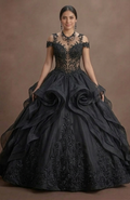 Black Wedding Dress Organza Princess Ball Formal Reception