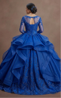 Blue Quinceañera Dress Long Sleeve Lace Applique Gown