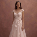 Blush A-Line Wedding Dress with Soft Lace Overlay