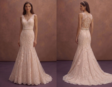 Blush Lace Wedding Dress with Fit and Flare Elegant Shape
