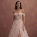 Blush Tulle Wedding Dress with Corset Bodice and Flowing Train