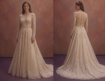 Champagne A-Line Wedding Dress with Sparkle Skirt
