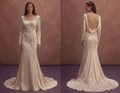 Champagne Elegant Bridal Dress with Long Sleeve Silhouette