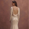 Champagne Elegant Bridal Dress with Long Sleeve Silhouette