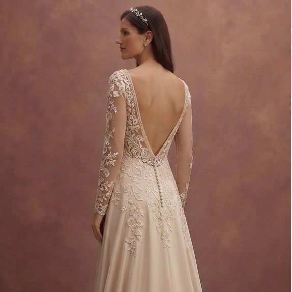 Champagne Lace Wedding Dress with Deep V Neckline