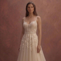Champagne Tulle Bridal Dress with Soft Glitter Finish