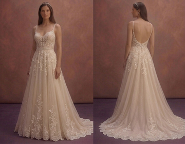 Champagne Tulle Bridal Dress with Soft Glitter Finish