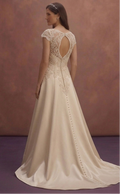 Champagne Vintage Wedding Dress with Lace Embellished Bodice