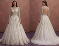 Crystal Embellished Wedding Dresses with Elegant Shine