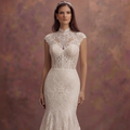 Elegant Mermaid Bridal Dresses with Lace Overlay