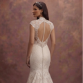 Elegant Mermaid Bridal Dresses with Lace Overlay