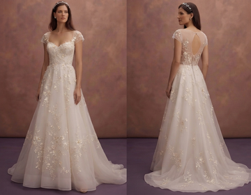 Embroidered Organza Wedding Dresses with Floral Motifs
