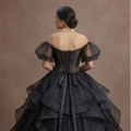 Gothic Prom Dress Black Organza Princess Gothic Ball