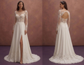 Ivory Elegant Wedding Dress with Sheer Corset Design
