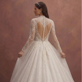 Ivory Princess Ball Gown Wedding Dress with Glittering Tulle