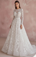 Mermaid Sleeve Wedding Dress Trumpet Style Long Lace Overlay