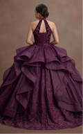 Plum Purple Quinceañera Dress with Velvet Bodice