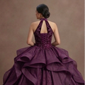 Plum Purple Quinceañera Dress with Velvet Bodice