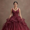 Quinceañera Ball Gown Burgundy Tulle Evening Celebration