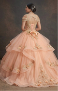 Quinceañera Ball Gown Peach Tulle Outdoor Party