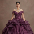 Quinceañera Ball Gown Plum Organza Elegant Reception