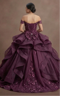 Quinceañera Ball Gown Plum Organza Elegant Reception