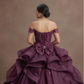 Quinceañera Ball Gown Plum Organza Elegant Reception