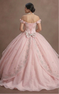 Quinceañera Ball Gown Soft Pink Organza Princess Theme
