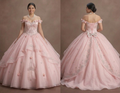 Quinceañera Ball Gown Soft Pink Organza Princess Theme