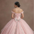 Quinceañera Ball Gown Soft Pink Organza Princess Theme