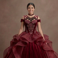 Quinceañera Ball Gown Wine Red Velvet Evening Gala