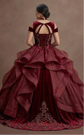 Quinceañera Ball Gown Wine Red Velvet Evening Gala