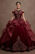 Quinceañera Ball Gown Wine Red Velvet Evening Gala