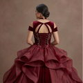 Quinceañera Ball Gown Wine Red Velvet Evening Gala