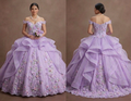 Quinceañera Dress Lilac Lace Garden Celebration