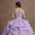 Quinceañera Dress Lilac Lace Garden Celebration