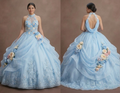 Quinceañera Dress Powder Blue Organza Garden Party