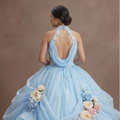 Quinceañera Dress Powder Blue Organza Garden Party
