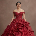 Red Quinceañera Dress with 3D Floral Appliques and Tulle