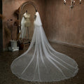 300cm Long Bridal Veil Lace Wedding Veils For Evening Dinner Party Dress Women Girl Gift Hair Accessories Brides Jewelry