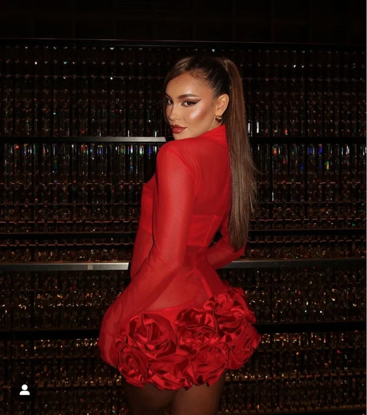Women Long Sleeve Sexy Mesh See Through Florals Ball Gown Mini Bandage Dress Nightclub Party Celebrate Performance Stage Wear