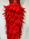 Sparkly Rhinestone Feather Mesh Long Dress Women Sexy Elegant Evening Party Luxury Birthday Photo Shoot Performance Costume
